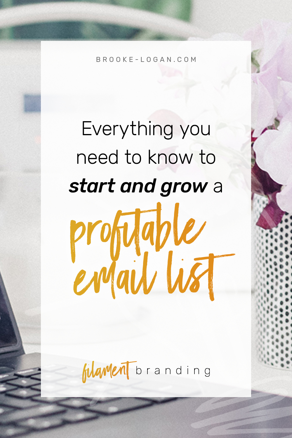 Ep 18: Everything you need to know to start and grow a profitable email list